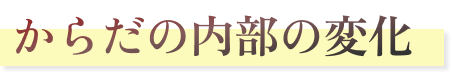 からだ内部の変化