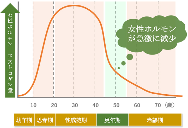 更年期における女性ホルモン（エストロゲン）の急激な減少と自律神経への影響を表したグラフ